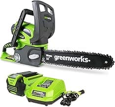 Greenworks 40V 12" Cordless Compact Chainsaw (Great For Storm Clean-Up, Pruning, and Camping), 2.0Ah Battery and Charger Included